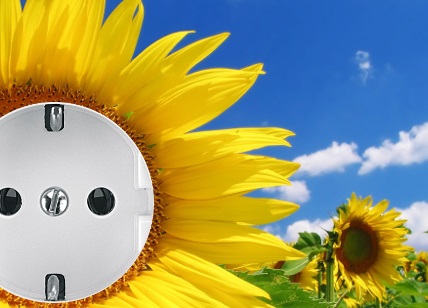 Elektrobild Sonnenblume mit Steckdose