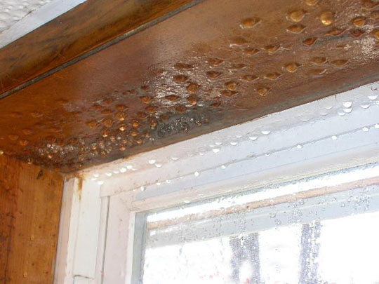 Feuchte Kellerfenster